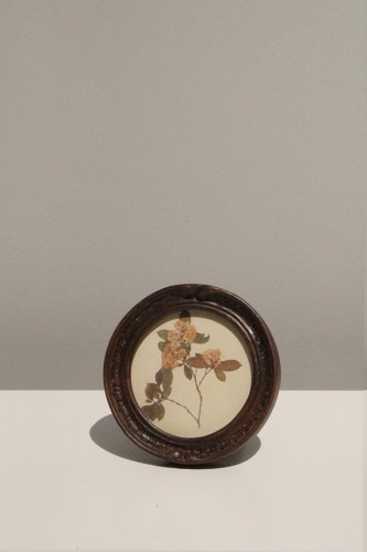 OKRĄGŁA MINI RAKA ARTVALLEY.PL