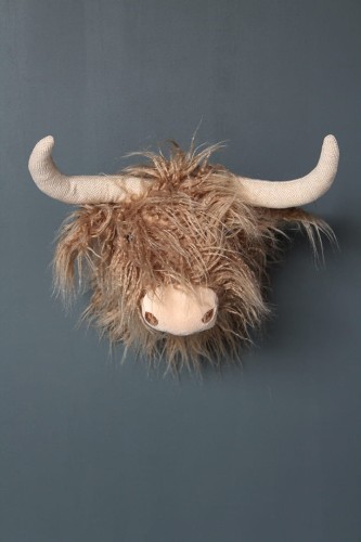 GŁOWA SZKOCKIEGO BYKA ARTVALLEY.PL