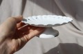 IMG_6106.JPG